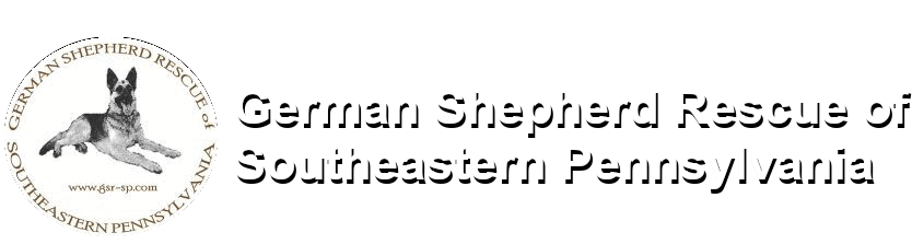 German Shepherd Rescue of Southeastern Pennsylvania